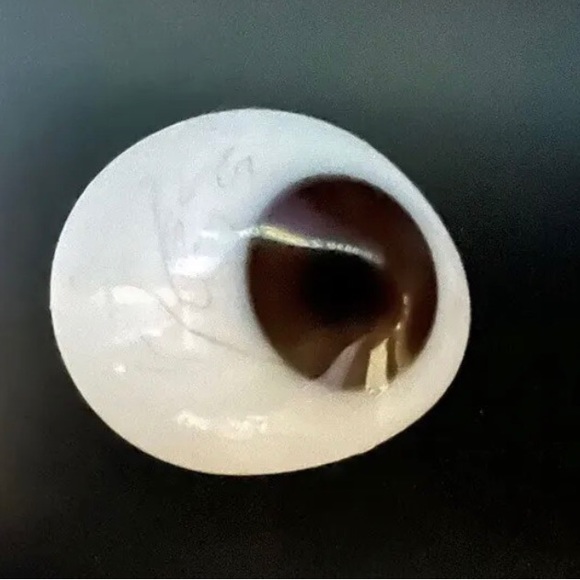 Real Medical Prosthetic Human Glass Eye, Brown, circa 1880 - Picture 3 of 6